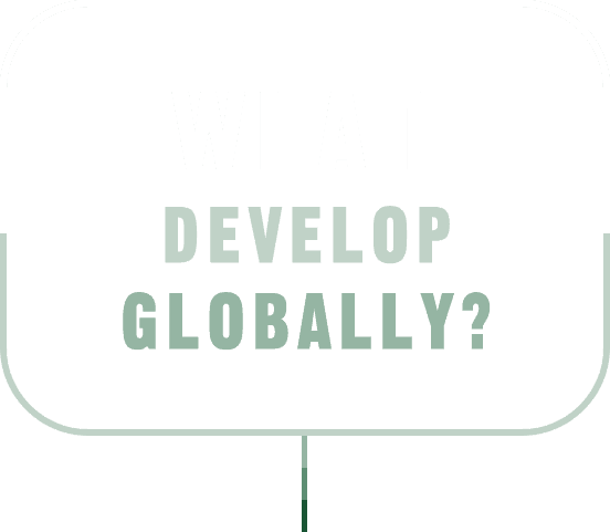 WHAT DEVELOP GLOBALLY?
